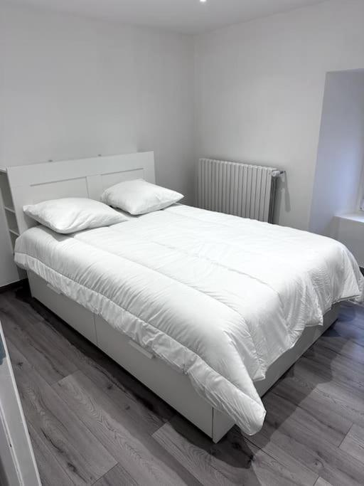 Appartement T4 En Hyper-Centre Bourgoin-Jallieu Extérieur photo