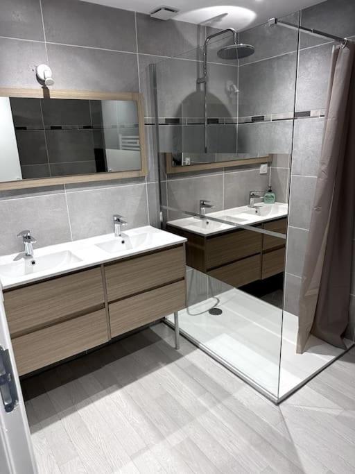 Appartement T4 En Hyper-Centre Bourgoin-Jallieu Extérieur photo